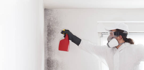 Best Residential Mold Removal  in Social Circle, GA